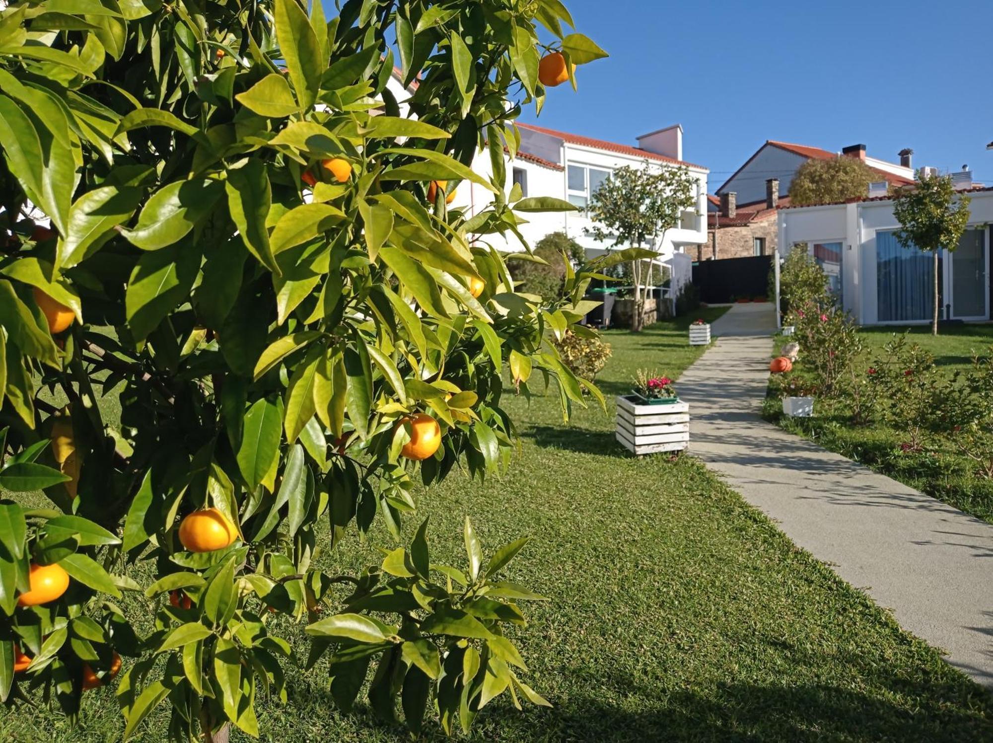 Casas Turisticas Lar Jardin - Parking Privado Saint-Jacques-de-Compostelle Extérieur photo